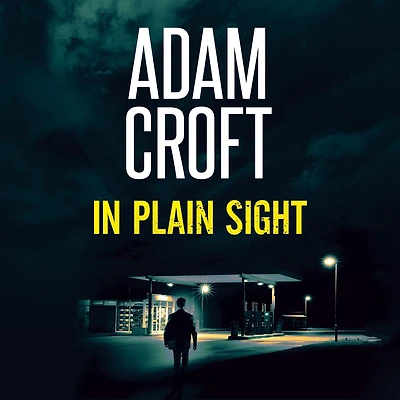 Plain Sight