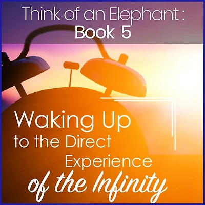 Think of an Elephant Book 5: WAKING UP TO THE DIRECT EXPERIENCE OF THE INFINITY