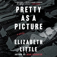 Pretty as A Picture: Novel