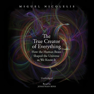 the True Creator of Everything: How Human Brain Shaped Universe as We Know It