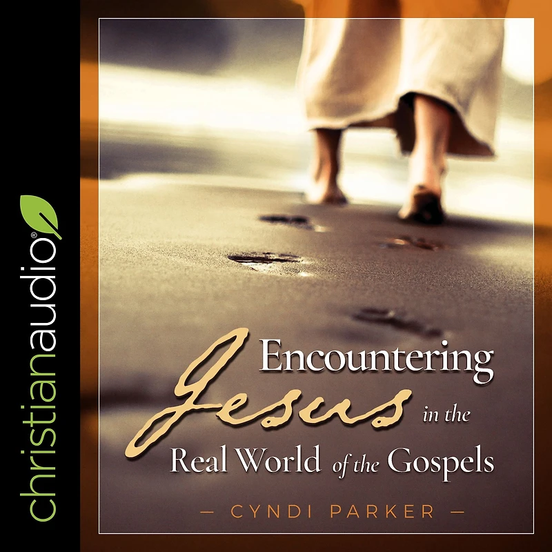 Encountering Jesus the Real World of Gospels