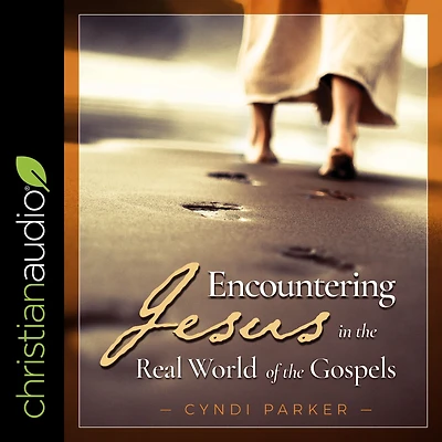 Encountering Jesus the Real World of Gospels