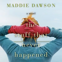 The Stuff That Never Happened: A Novel