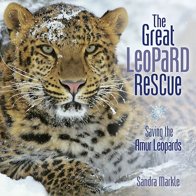 the Great Leopard Rescue: Saving Amur Leopards
