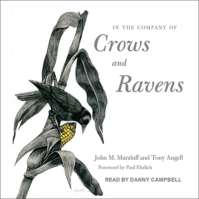 the Company of Crows and Ravens