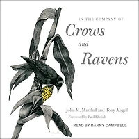 the Company of Crows and Ravens