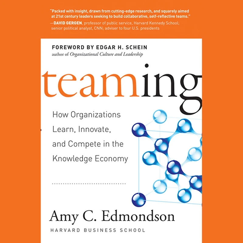 Teaming: How Organizations Learn, Innovate, and Compete the Knowledge Economy