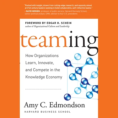 Teaming: How Organizations Learn, Innovate, and Compete the Knowledge Economy