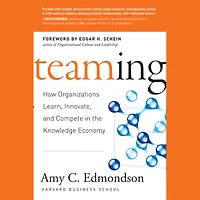 Teaming: How Organizations Learn, Innovate, and Compete the Knowledge Economy