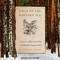 Owls of the Eastern Ice: A Quest to Find and Save World's Largest Owl