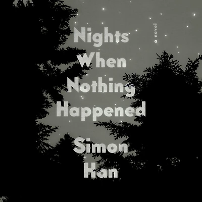 Nights When Nothing Happened: A Novel