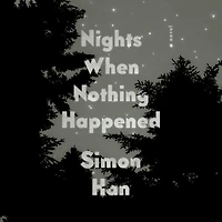 Nights When Nothing Happened: A Novel