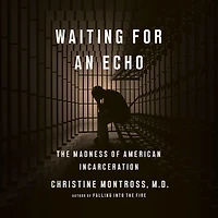 Waiting for an Echo: The Madness of American Incarceration