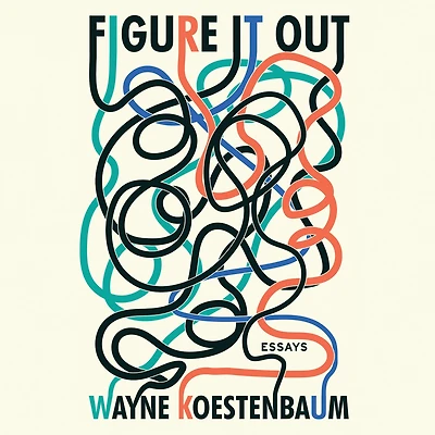 Figure it Out: Essays