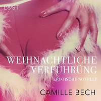 Weihnachtliche Verführung: Erotische Novelle
