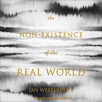 The Non-Existence of the Real World