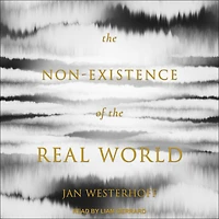 The Non-Existence of the Real World