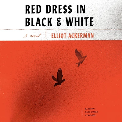 Red Dress Black and White: A novel