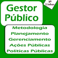 Gestor Público