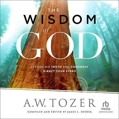 The Wisdom of God: Letting His Truth and Goodness Direct Your Steps