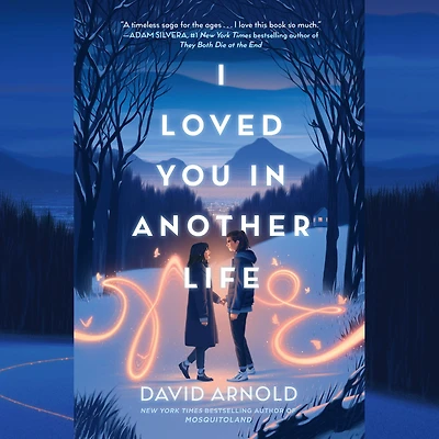 I Loved You Another Life