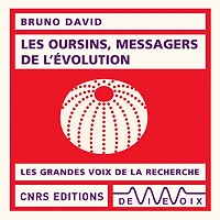 Les oursins, messagers de l'évolution