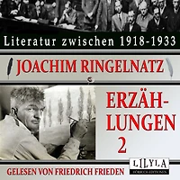 Erzählungen 2: Durch das Schlüsselloch eines Lebens, Die wilde Miss vom Ohio, Der tätowierte Apion, Jemand erzählt von Illinep.