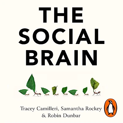 The Social Brain: Psychology of Successful Groups