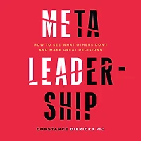 Meta-Leadership: How to See What Others Don't and Make Great Decisions