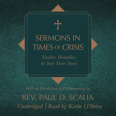 Sermons Times of Crisis: Twelve Homilies to Stir Your Soul