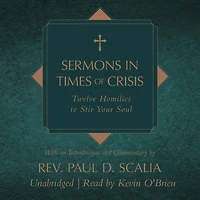 Sermons Times of Crisis: Twelve Homilies to Stir Your Soul