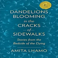 Dandelions Blooming the Cracks of Sidewalks: Stories from Bedside Dying