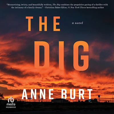 The Dig: A Novel