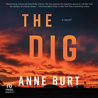 The Dig: A Novel