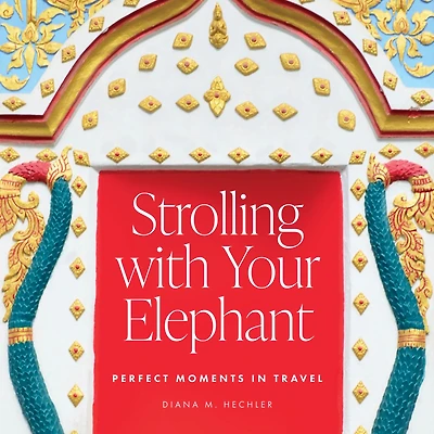 Strolling with Your Elephant: Perfect Moments Travel