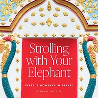 Strolling with Your Elephant: Perfect Moments Travel