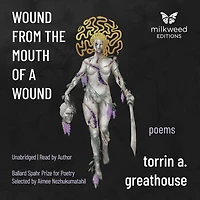 Wound from the Mouth of a Wound: Poems