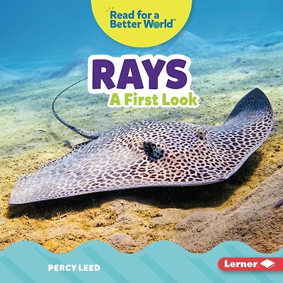 Rays: A First Look