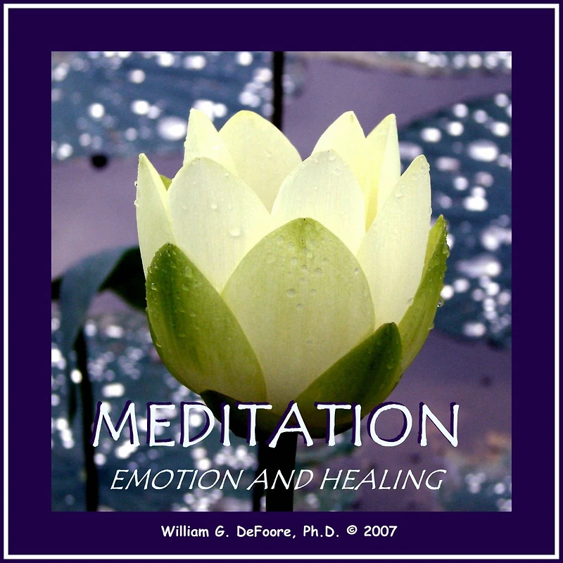Meditation, Emotion & Healing: Connecting With the Source of Well Being Within You