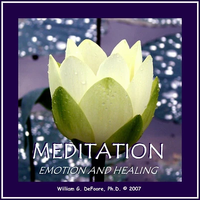 Meditation, Emotion & Healing: Connecting With the Source of Well Being Within You