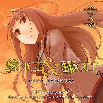 Spice and Wolf, Vol. 6 (light novel)