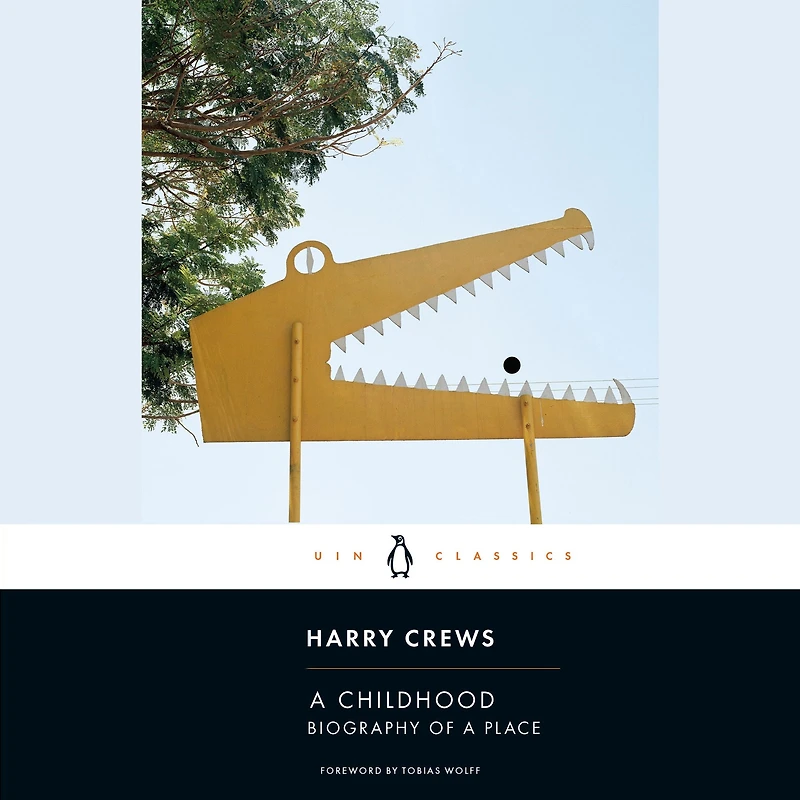 a Childhood: The Biography of Place