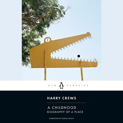 a Childhood: The Biography of Place