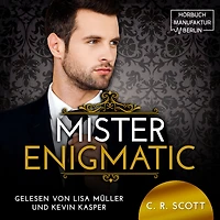 Mister Enigmatic - The Misters, Band 4 (ungekürzt)