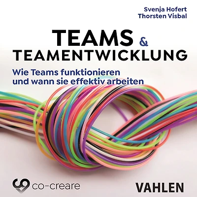 Teams & Teamentwicklung: Wie funktionieren und wann sie effektiv arbeiten