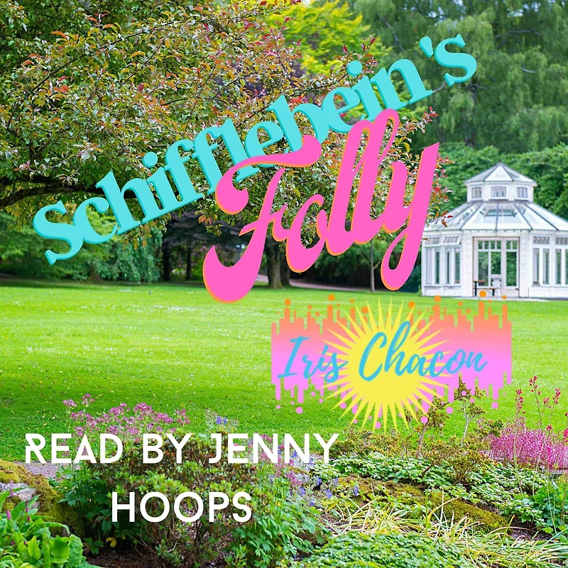 Schifflebein's Folly: A Funny Way to Build a Family
