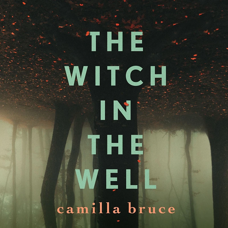 the Witch Well