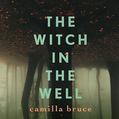 the Witch Well