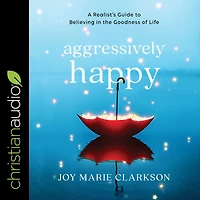 Aggressively Happy: A Realist's Guide to Believing the Goodness of Life