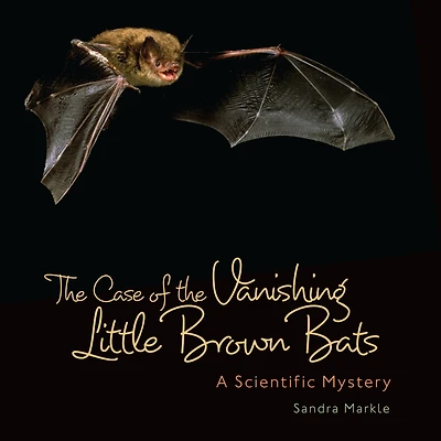 the Case of Vanishing Little Brown Bats: A Scientific Mystery